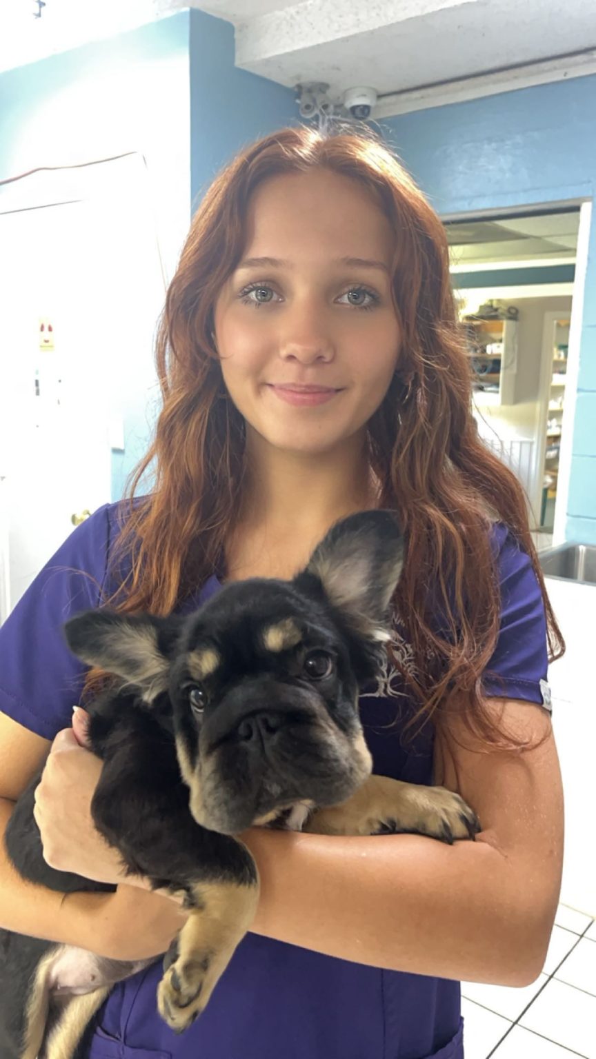 Our Team Live Oak Veterinary Clinic